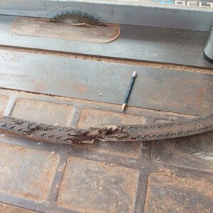 Termite Infestation1