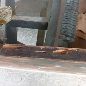 Termite Infestation2