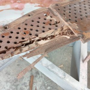 Termite Infestation3